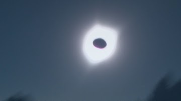 2017 Total Solar Eclipse with Shadow Snakes
