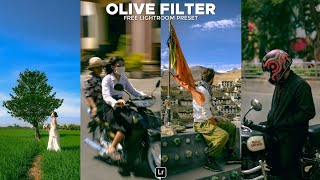 Olive Filter Lightroom Preset | Lightroom Mobile Preset Free DNG | olive tone | lightroom preset screenshot 4