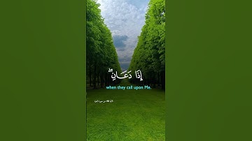 تلاوة خاشعة | القرآن الكريم #quran #اكسبلور #ماهر_المعيقلي #ياسر_الدوسري