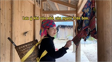 Lên rừng tìm cây thuốc mát gan cùng Thảo và phong tục tập quán của người Tây Bắc