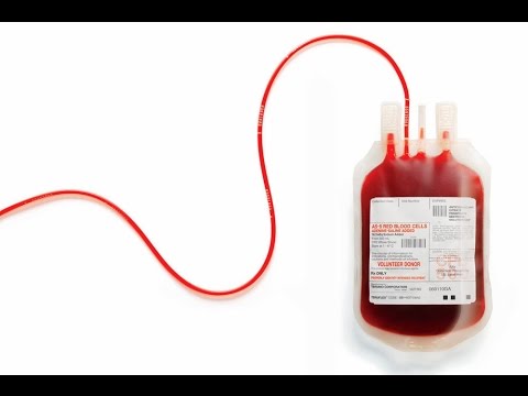 12 Datos que Desconocías Sobre la Sangre | XQriosity