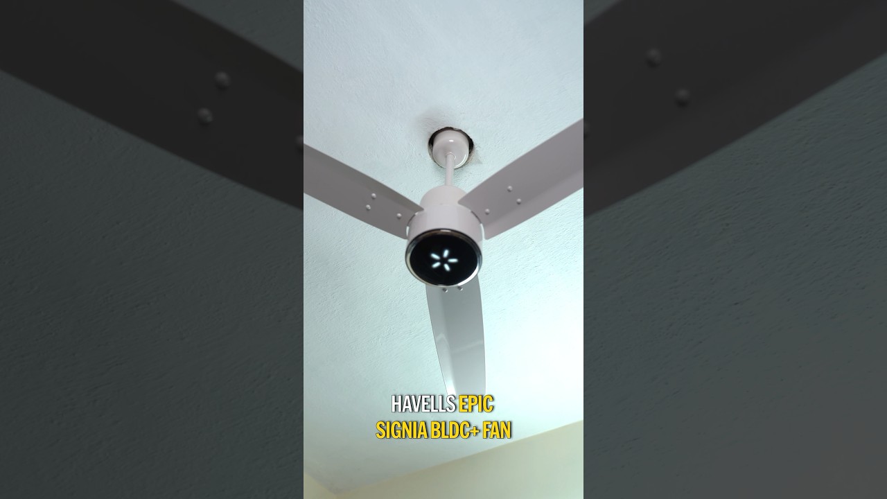 Vera Level Fan😍! - Best Fan for your house! - Havells Signia BLDC Fan Review!