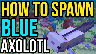 How To Spawn Blue Axolotl In Minecraft PS4/Xbox/PE