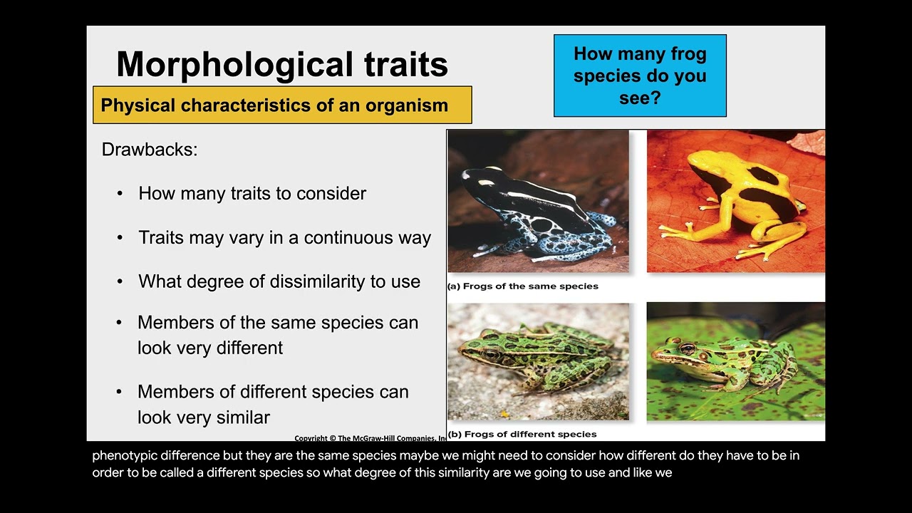 Bio 101 Lecture from Dec 4th