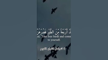 احترم القران الكريم دقيقه #القرآن_الكريم #اكسبلور #المصحف #لايك #راحة_نفسية