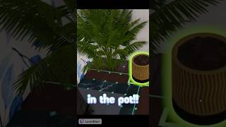 Download Lagu Plants Need Pots?! MP3