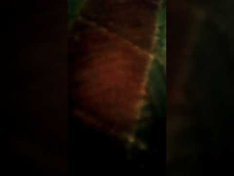 اللي لاحظ حاجه غريبه يقول