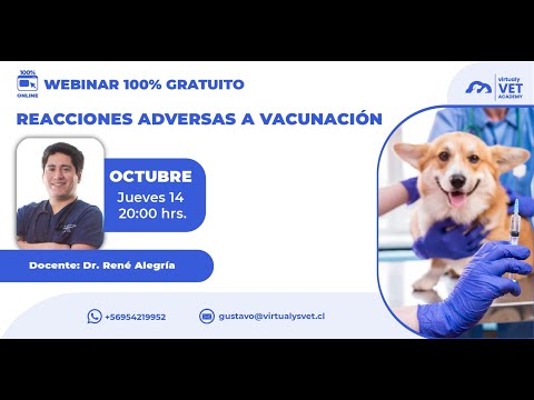 Video: Reacciones alérgicas en perros después de inmunizaciones