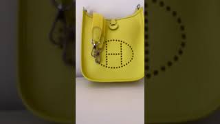 Hermes Evelyne Mini Which One You Like hermes buywithme hermesevelyne unboxing shopper