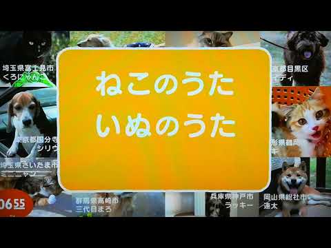 おれ、ねこ　ぷ～ちゃん