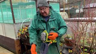 Pressure Wash my Patio with Me