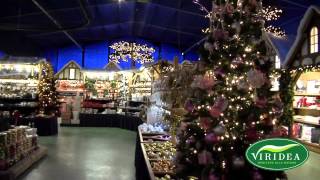 Natale Viridea