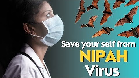 What do you know about nipah virus /nipah virus  /nipah virus india
