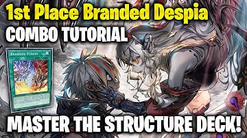 1st Place Branded Despia Combo Guide & Test Hands - POST STRUCTURE DECK! NEW SUPPORT COMBOS Yu-Gi-Oh