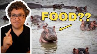 Hippo Bacon and other UNfun facts | Alex Falcone