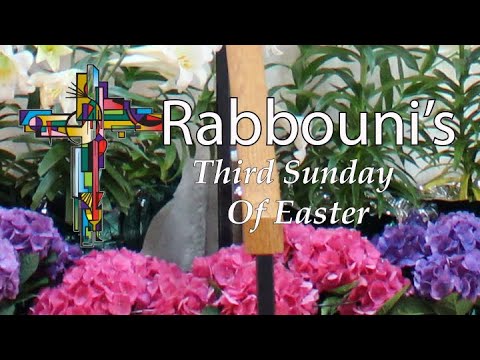 Third Sunday of Easter 2024