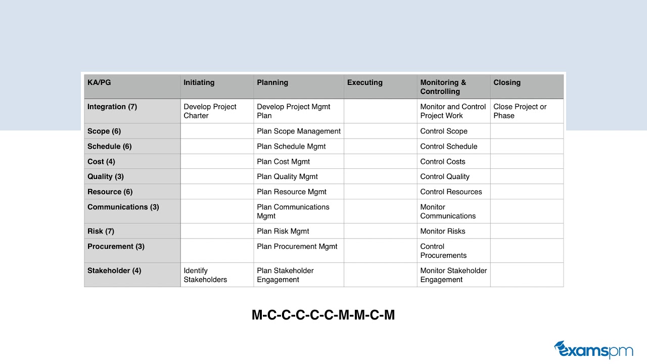 Pmp S Process Chart