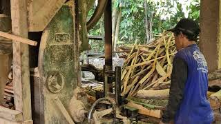 God-Level Efficiency: The Ultimate Professional Mechanical Wood Cutting Process!