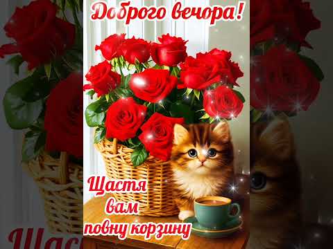 Добрый вечер, друзья! Добрый вечер — улыбнись! Вечерний позитивчик! Новинка! Прекрасное Видео!