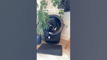 Love a good deep clean day🌱 #litterrobot #catmom #cleaning #springcleaning #litterbox #lotterrobot4