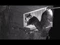 Viewer Discretion Advised: Great Horned Owl attacks little Peregrine Falcons ~ 06-06-2020