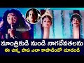 A GIRL SAVED THE NAGADEVATAS FROM THE SORCERER | DEVI ABHAYAM | PREMA | RAASI |  TELUGU CINE CAFE