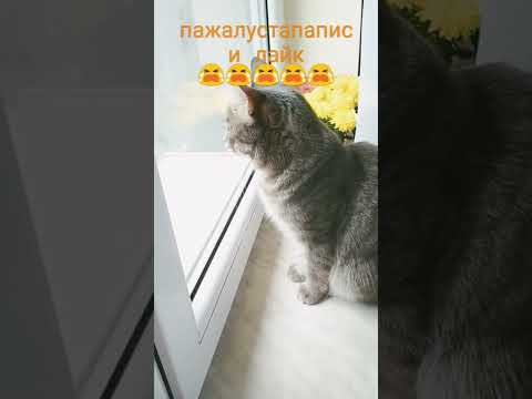 16 апреля 2022