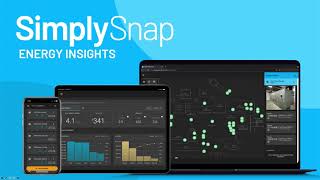 Celebrity SimplySnap Energy Insights Net Worth