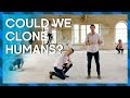 Could we clone humans? | Earth Lab