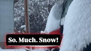 The ranch got BLASTED with snow. 