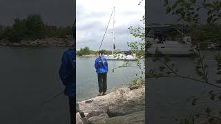 Lakefront Promenade Part 1 | Urban Fishing Locations