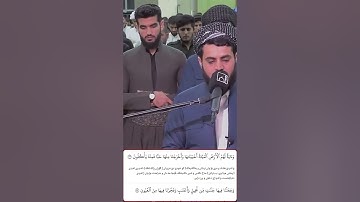 شيخ رعد الكردي حالات واتس اب | سورة (يس: ٣٠)