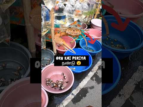 ஒரு கை மட்டும் ரோம்பா பெருசா irukku crab 🦀 #shorts #ytshorts #crab #kolathur #fish