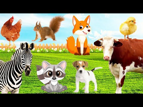 Sounds of Wild Animals, Familiar Animals: Cow, Fox, Chicken, Zebra, Raccoon, Puppy, Squirrel.....