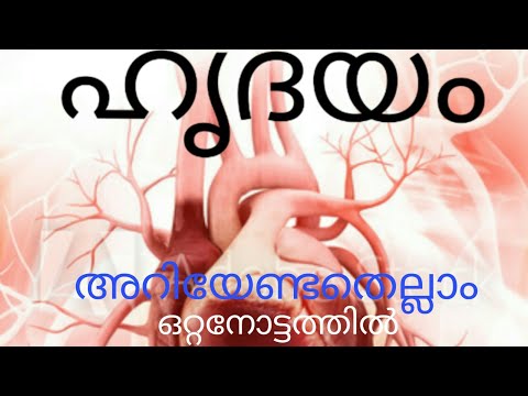 All about human Heart- full gk for psc/മനുഷ്യ ഹൃദയം അറിയേണ്ടതെല്ലാം