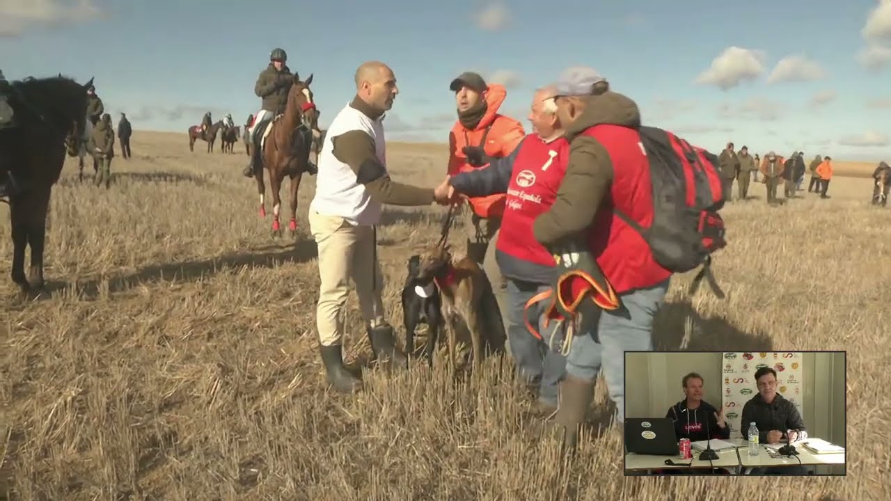 Los Mejores momentos    Octavos de Final LXXXVIII  CTO DE ESPAÑA DE GALGOS EN CAMPO