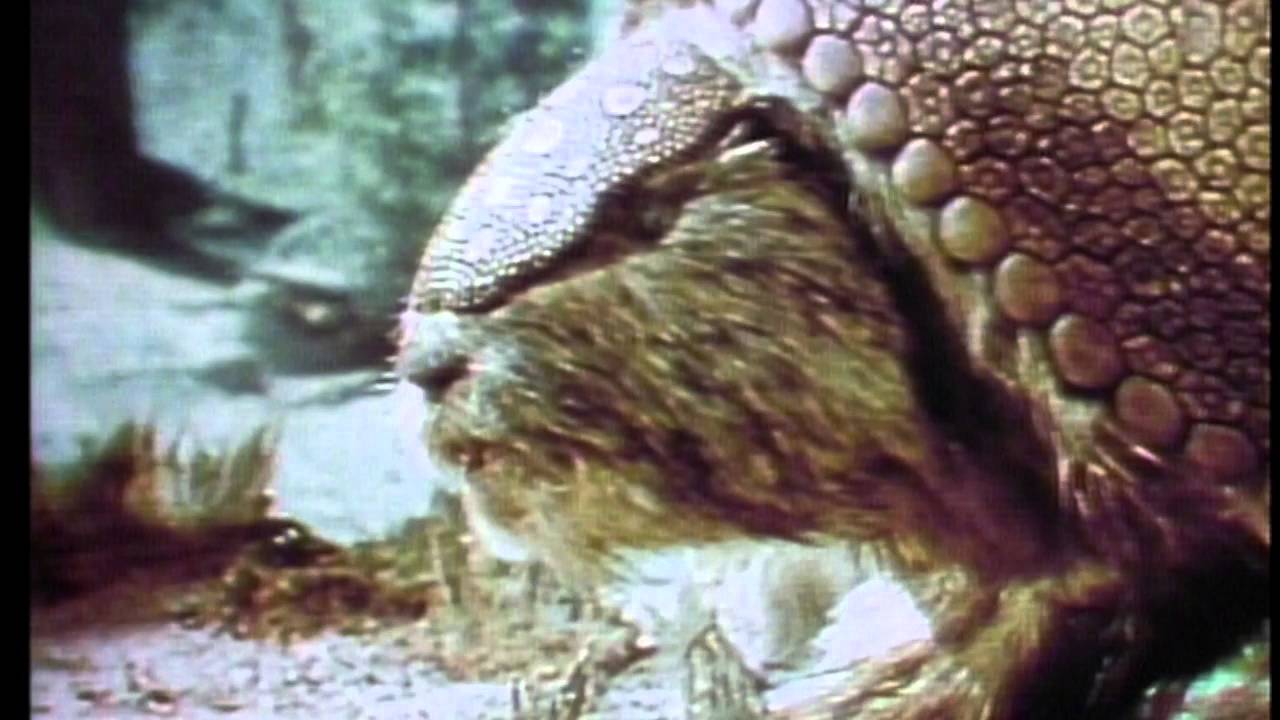 A promo for the very weird "Prehistoric World"