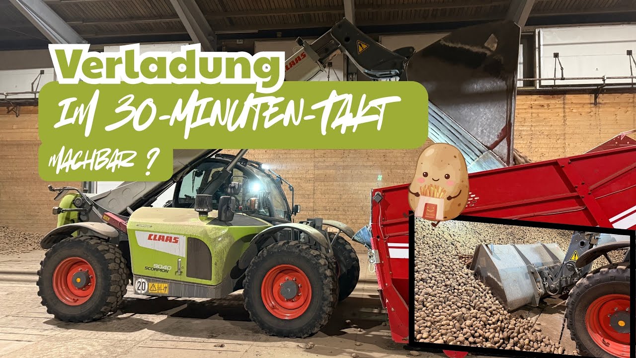 Verladung, Verarbeitung und Qualitäten!! 🥔+🚛=🍟#kartoffel #pommes 