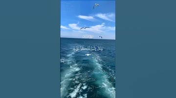#قرآن #القرآن_الكريم_راحة_نفسية #ارح_قلبك #تلاوة_خاشعة #اكسبلور