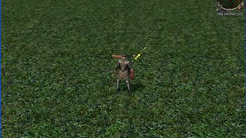 a random video of me on metin2