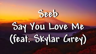 Seeb - Say You Love Me (feat. Skylar Grey) - Lyrics