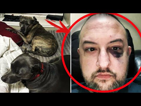 Video: Hero Koer kaitseb inimest ebaõnnestunud Feoder