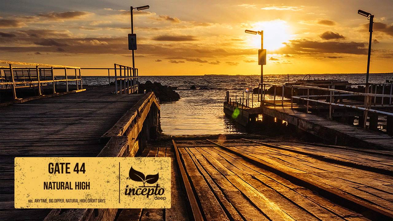 Gate 44 - Natural High (Original Mix)