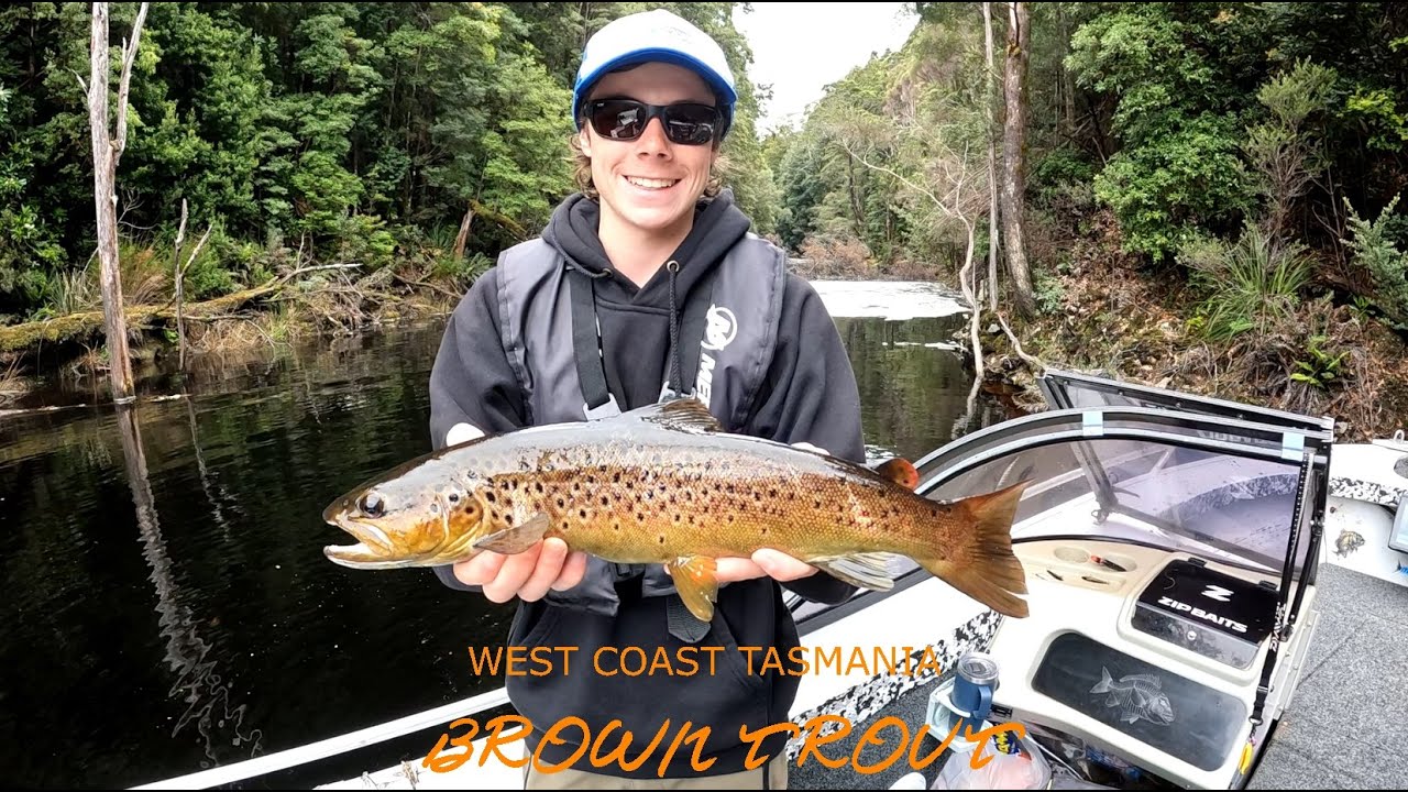 LAKE BURBURY BROWN TROUT I WEST COAST TASMANIA