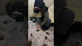 Белое море ловля скумбрии