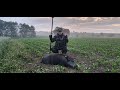 Sudecka Ostoja 22/2020. Polowanie na dziki. Hunting wild boars in Poland.