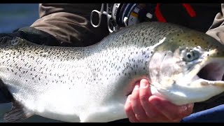 Stalking Monster Rainbow Trout at Jurassic Lake screenshot 4