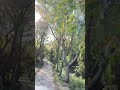충남 홍성 백월산 해발 394m Forest road(임도) 1.7km 입구부터 정상까지 전구간 영상