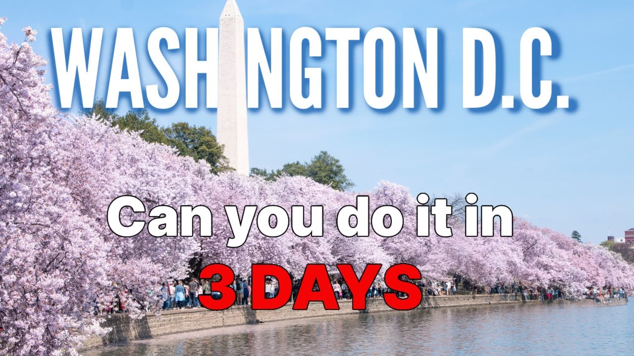 WASHINGTON D.C. IN 3 DAYS | HOW TO SEE DC IN A WEEKEND | MOUNT VERNON ...