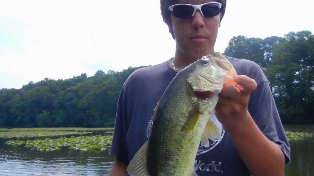 SWIM JIG BASS IN SUMMER WITH THE BASS COLLEGE YouTube